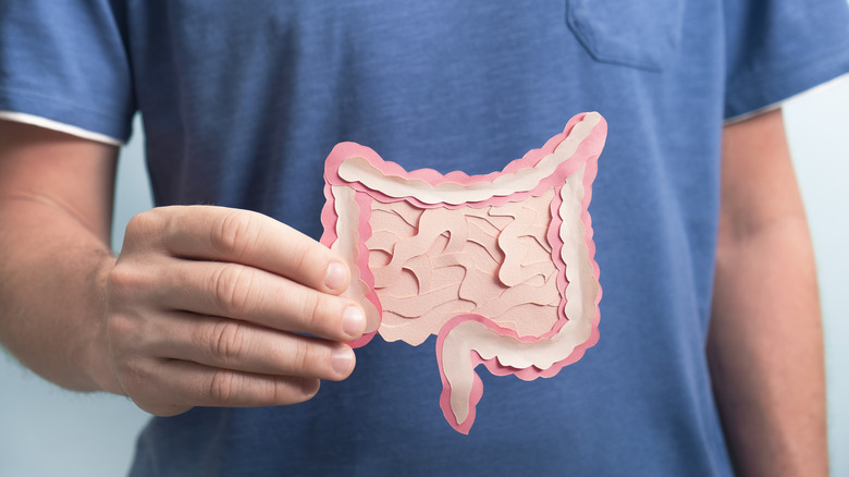 Man holding paper cut out gut