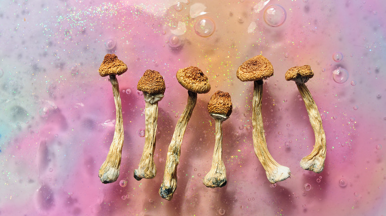 Magic mushrooms