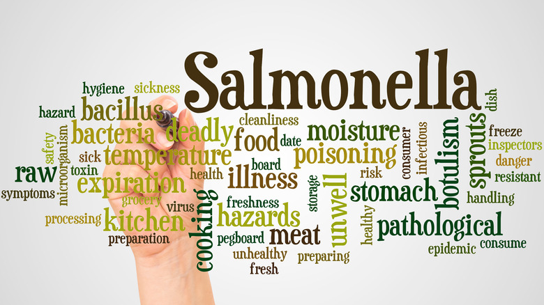 salmonella spelled out with other words