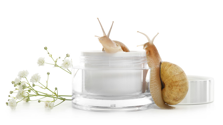 snails surrounding cream