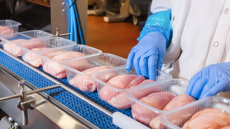 meat on factory conveyor belt