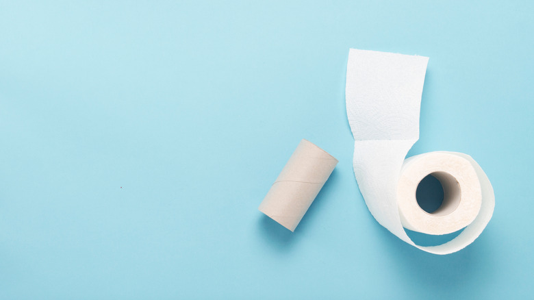 toilet paper on a blue background