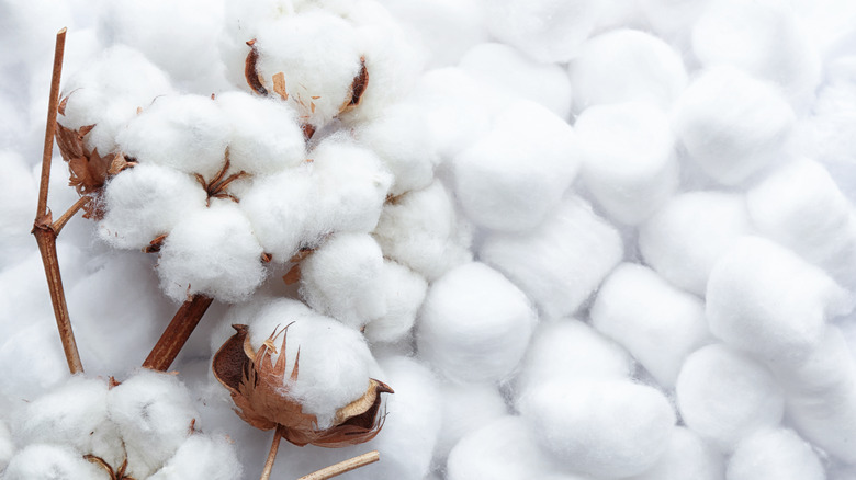 Cotton balls and cotton flowers