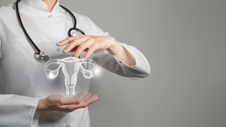 Hologram of female reproductive   
