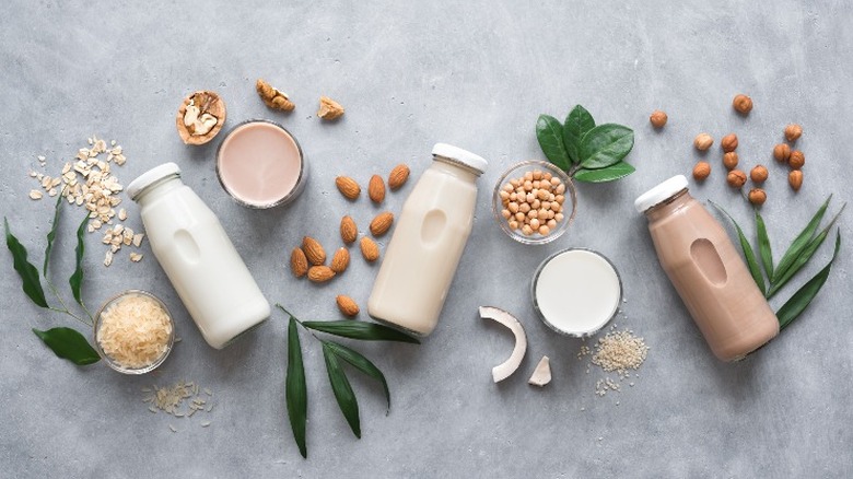 dairy free milk types