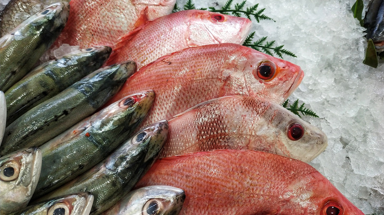 Various types of raw fish