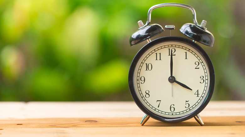 clock showing four PM with  greenery in background