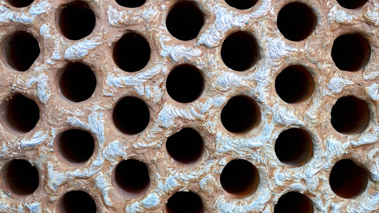 pattern of holes in concrete