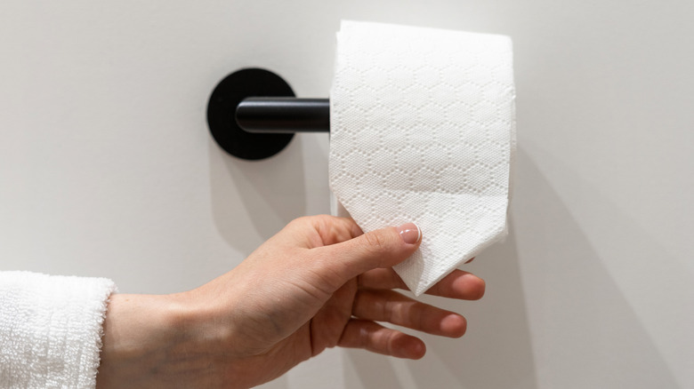 A person grabbing a ply from a toilet roll