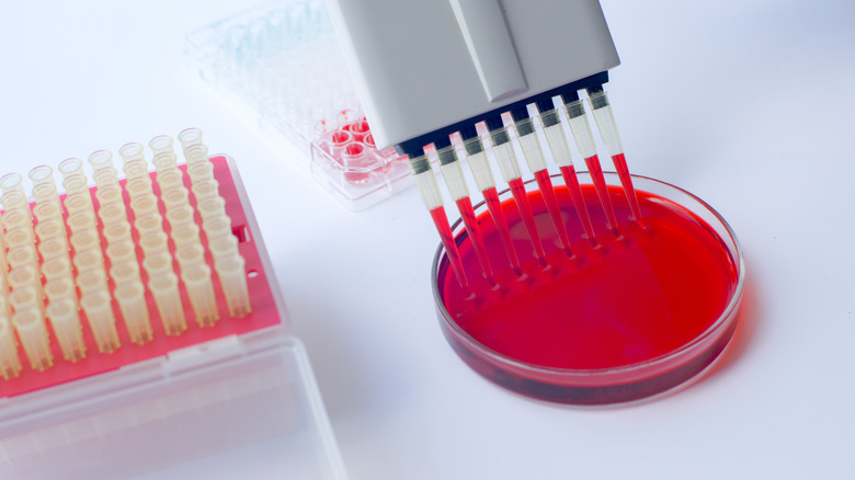 Multichannel protein blood test