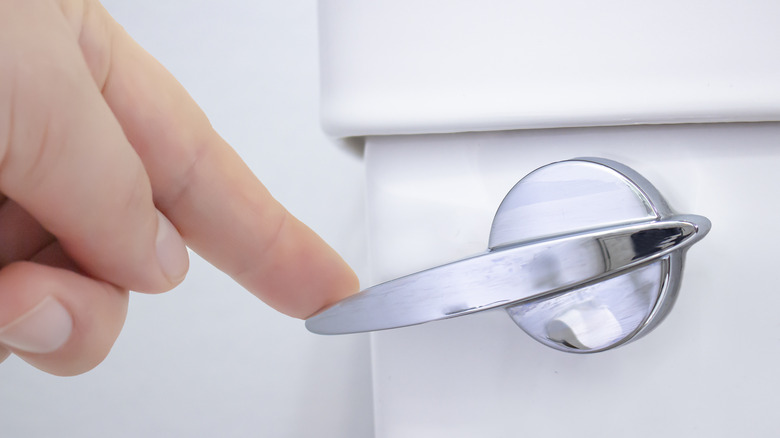Hand flushing toilet