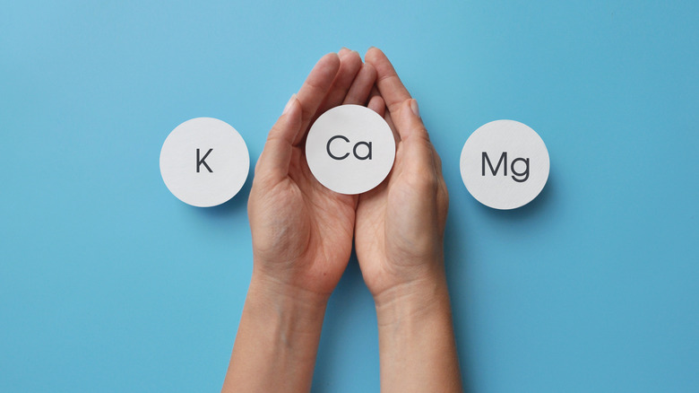 hand holding potassium sign