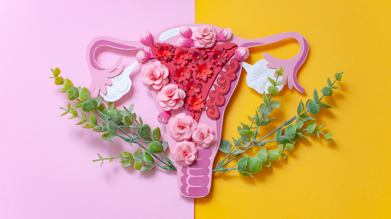 Womens reproductive health concept image