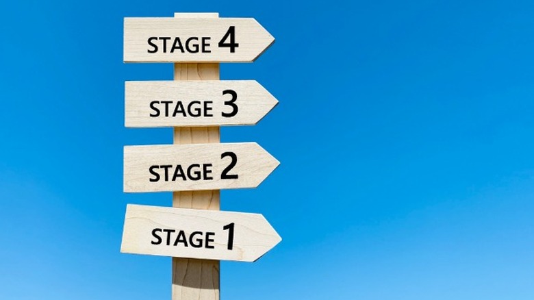 4 stages of CTE