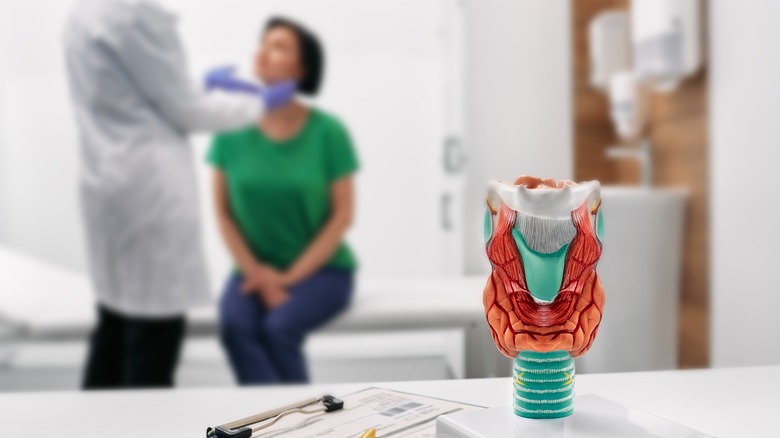 thyroid model with doc and patient