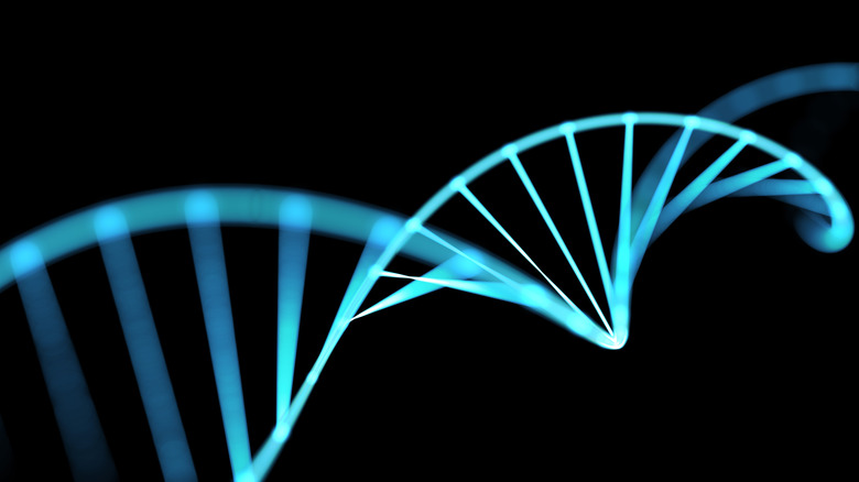 Blue DNA helix