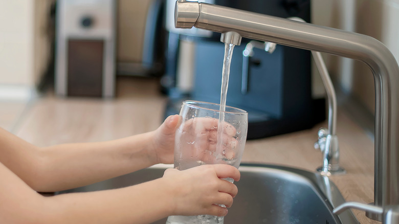 Hands holding a glass of water under sink water filter