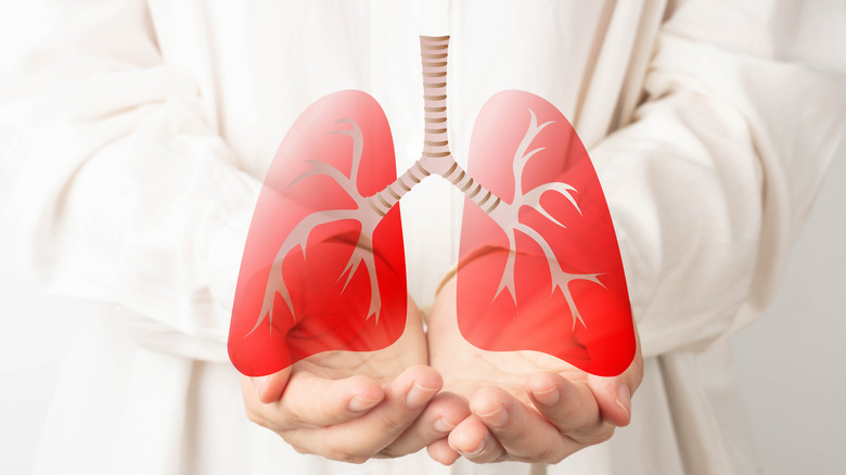 Illustration of lungs