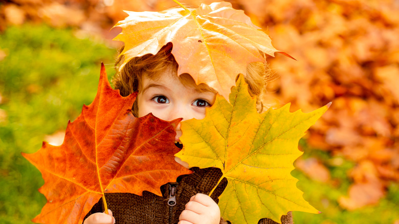 Young child holding leaves over face