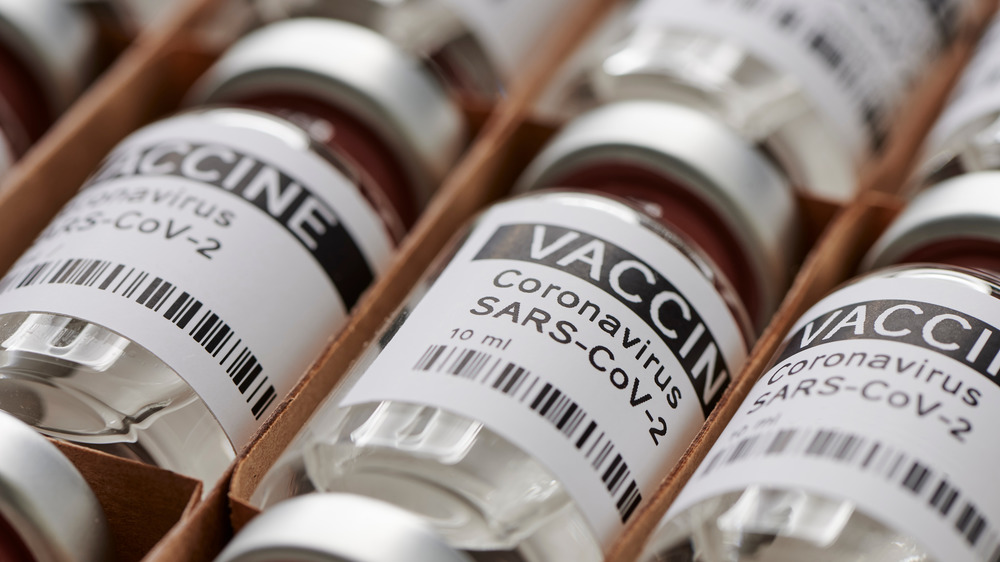 stock photo closeup of vaccine ampules