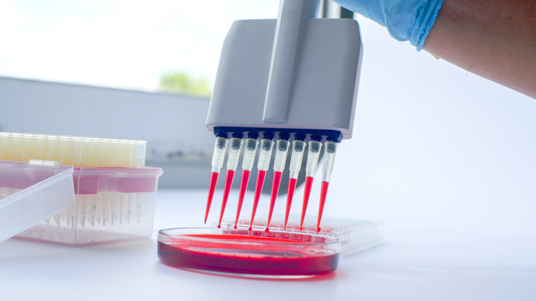 Blood test conducted on blood samples