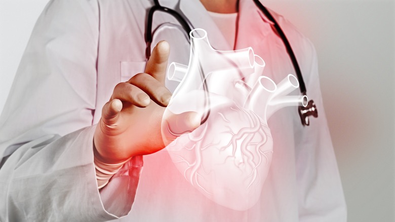 Doctor holding digital heart model