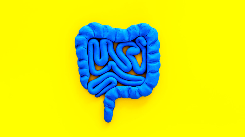 playdough representation of a colon