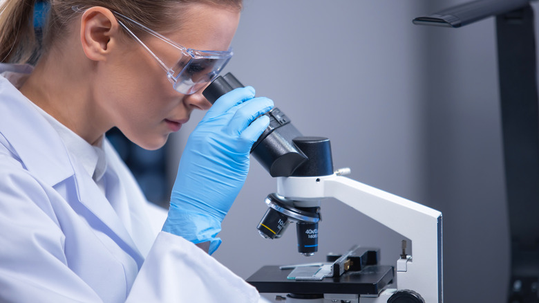 scientist looking into a microscope