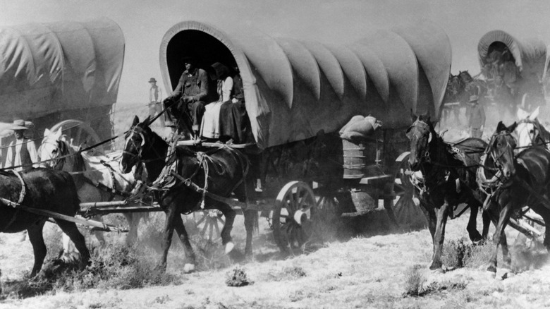 families in covered wagons traveling to the midwest prairies in the 19th century