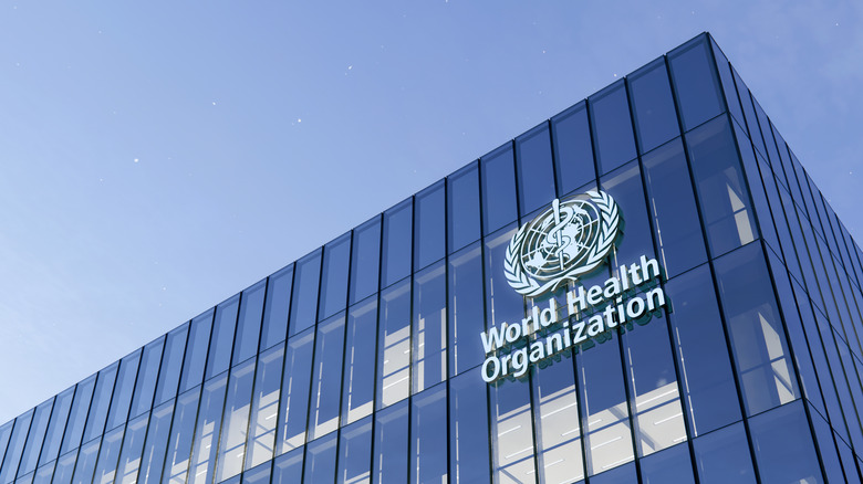 The World Health Organization logo on a building