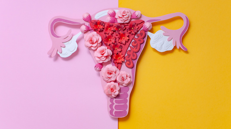 Visual concept of endometriosis
