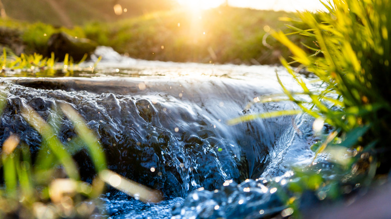 natural spring water flowing