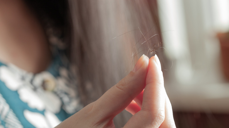 Hand holding tangle of stray hairs