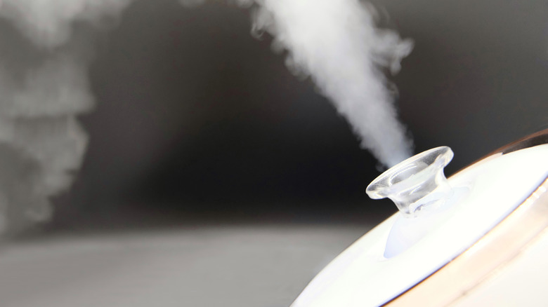 Facial humidifier device creating mist