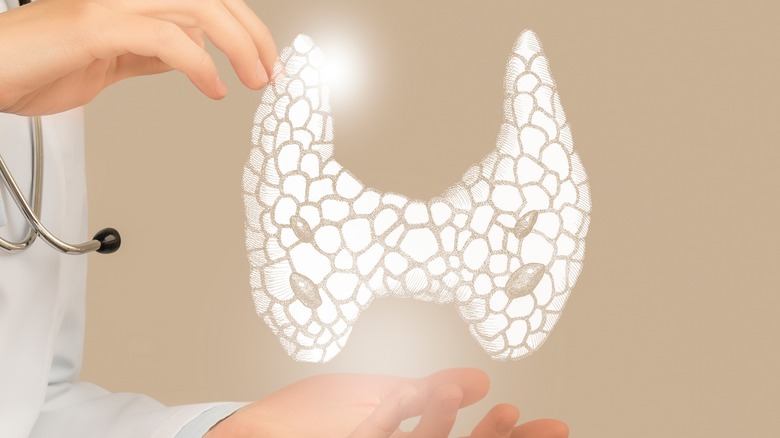 concept image of thyroid held by a doctor