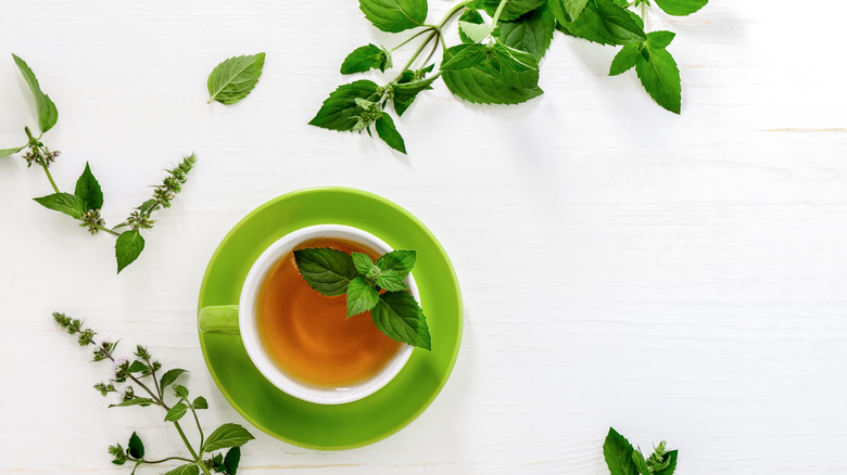 A cup of mint tea on a white background