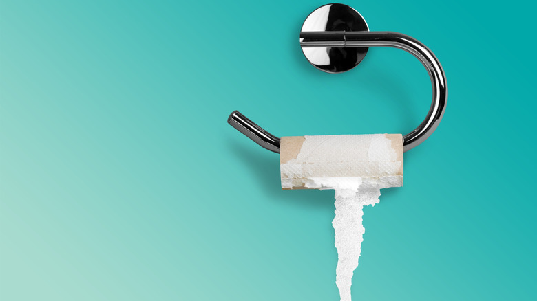 empty toilet paper roll