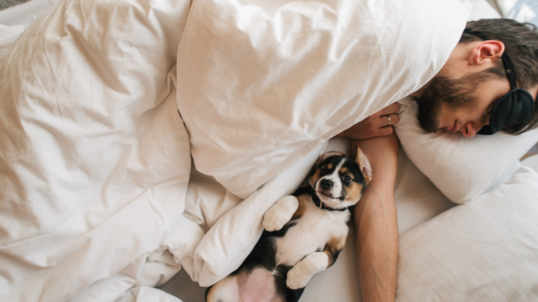 Man sleeps in bed with his dog