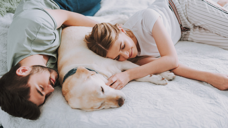 Couple sleeping in bed with their dog