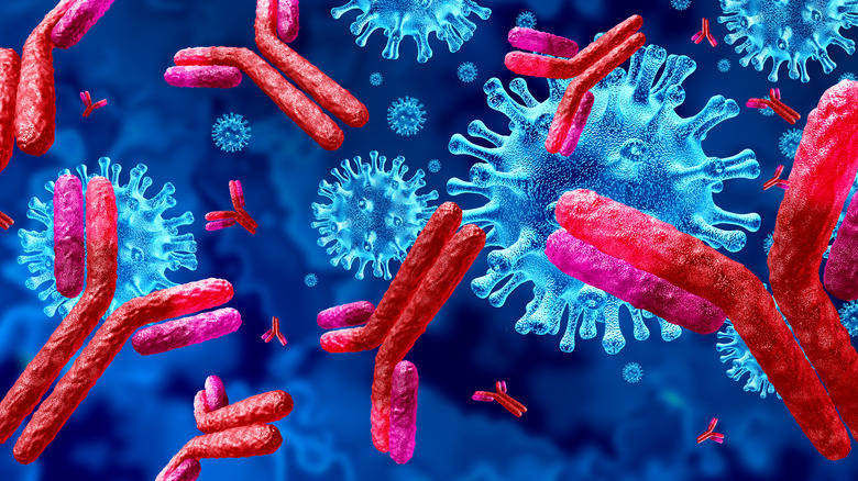 Antibody and immunology concept
