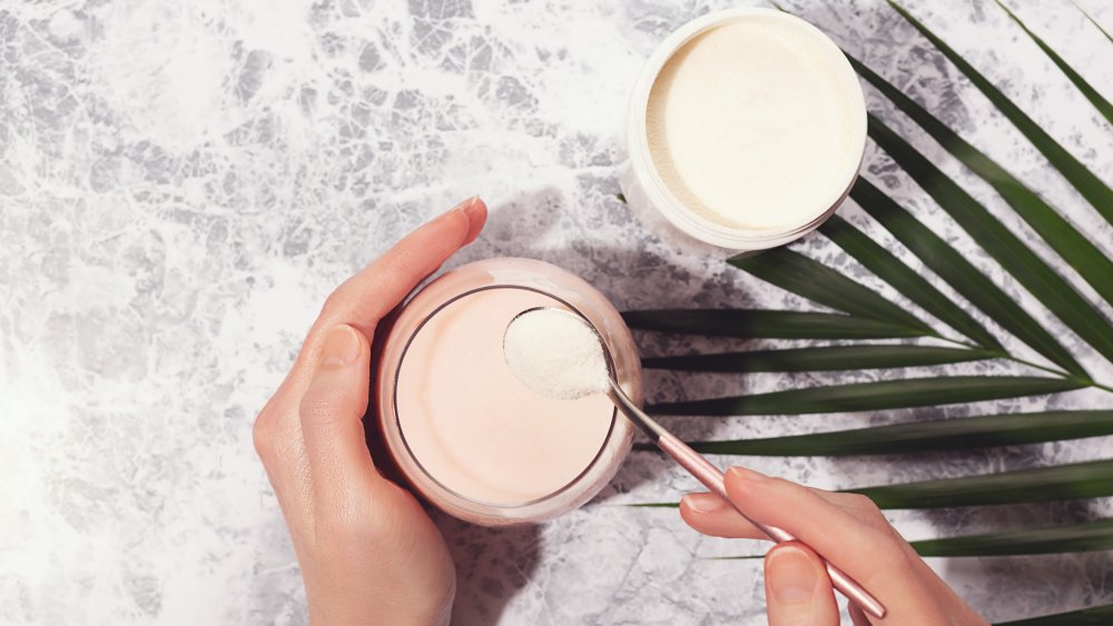 Collagen powder in a bowl with a spoon on a leafy background