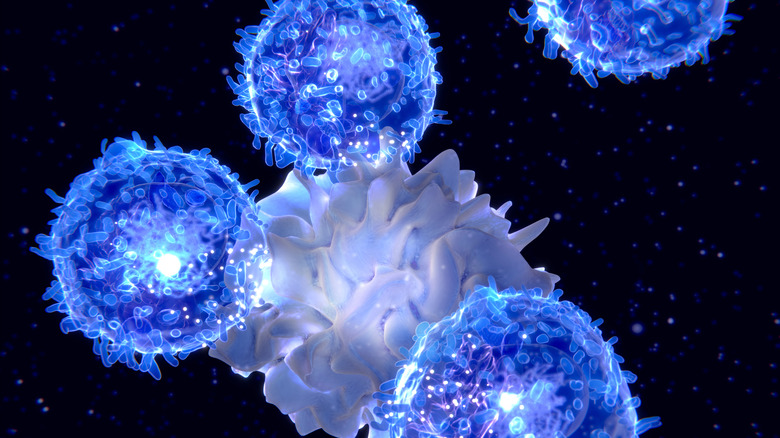 immune cells