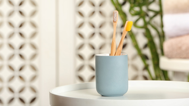 toothbrushes in holder