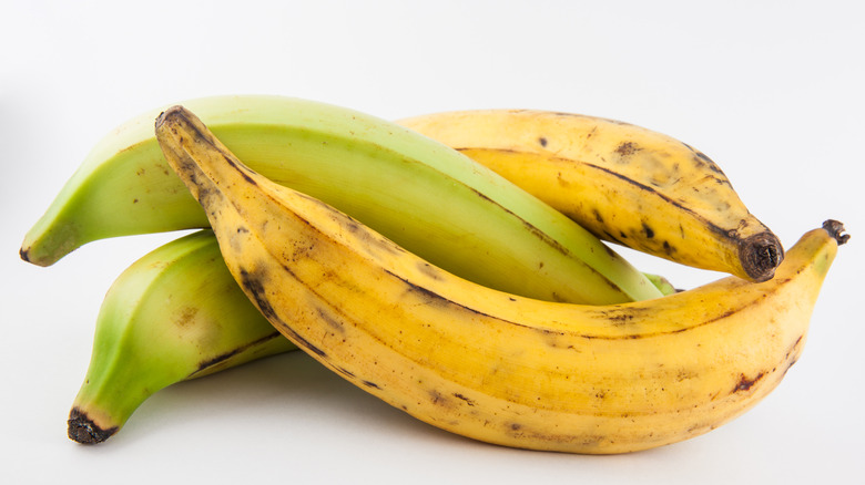 bananas and green bananas