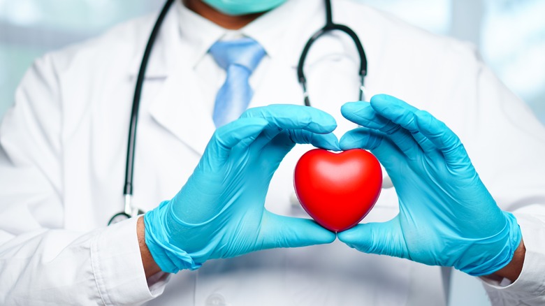 doctor holding heart model