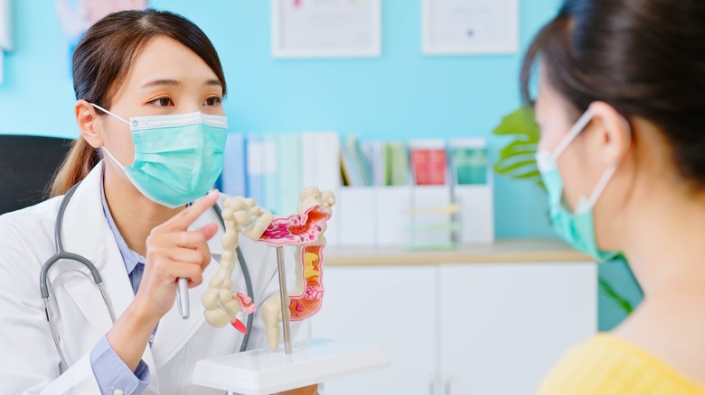 Doctor holding up colon model