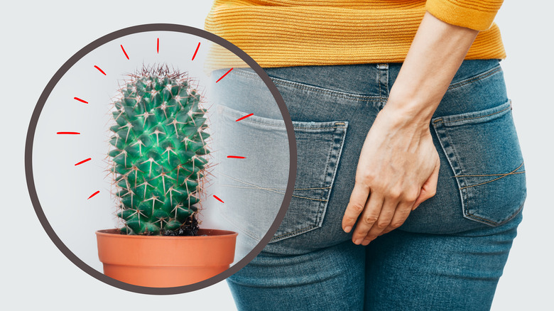 Woman's butt with cactus image portraying pain in rectum
