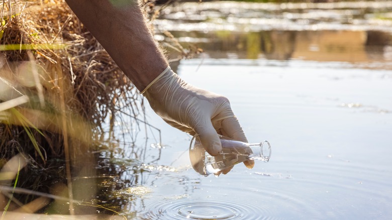 Testing water for chemicals