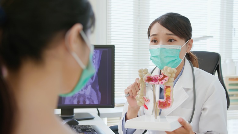 Doctor holding up model of intestines