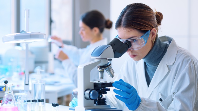 scientist looking through a microscope